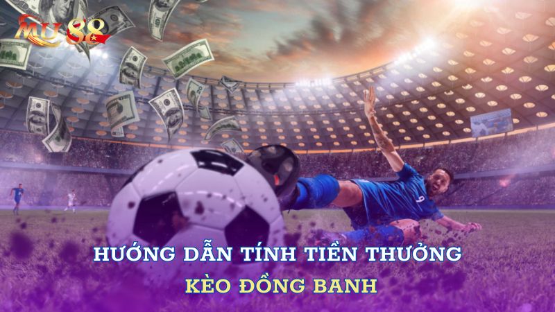 Hướng dẫn tính tiền thưởng kèo đồng banh